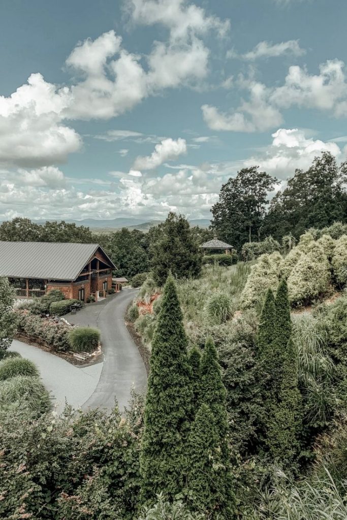 Georgia Winery